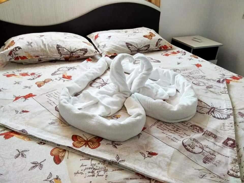 ホテル Casa Eric Mila Douăzeci şi Trei エクステリア 写真